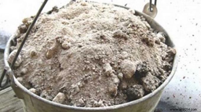 14 Proven Uses for Wood Ashes in Gardening, Cleaning, and Home Maintenance