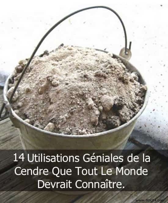 14 Proven Uses for Wood Ashes in Gardening, Cleaning, and Home Maintenance