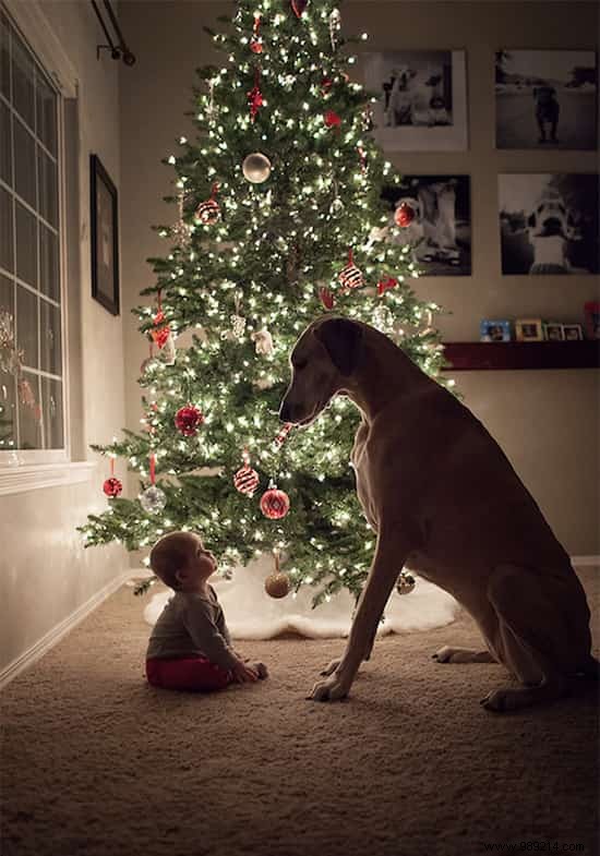20 Heartwarming Photos of Toddlers and Their Giant Dogs