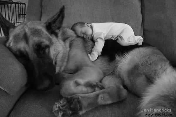 20 Heartwarming Photos of Toddlers and Their Giant Dogs