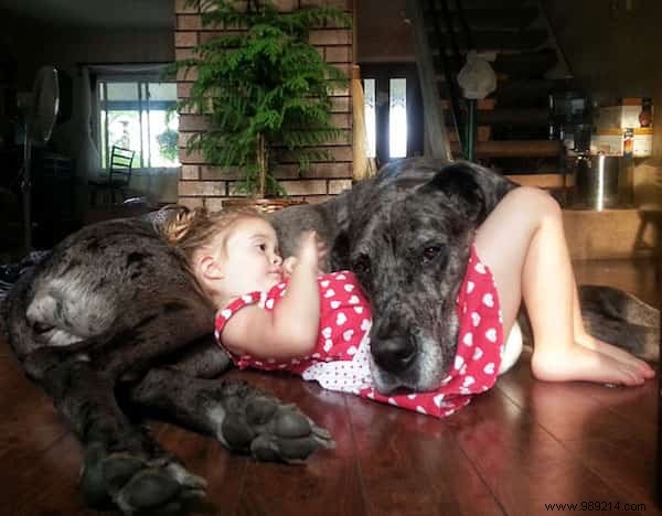 20 Heartwarming Photos of Toddlers and Their Giant Dogs