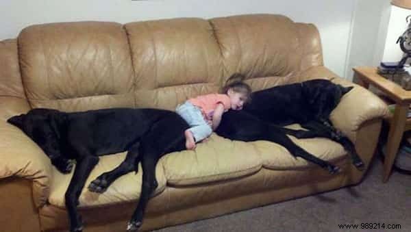 20 Heartwarming Photos of Toddlers and Their Giant Dogs