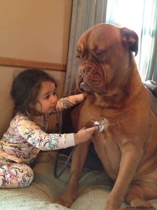 20 Heartwarming Photos of Toddlers and Their Giant Dogs