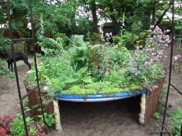 19 Genius Ways to Repurpose Your Old Trampoline in the Garden