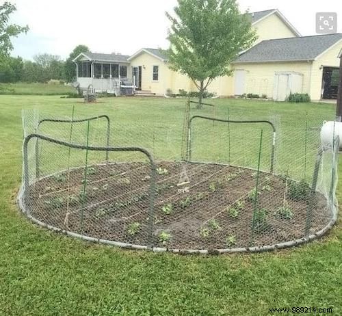 19 Genius Ways to Repurpose Your Old Trampoline in the Garden
