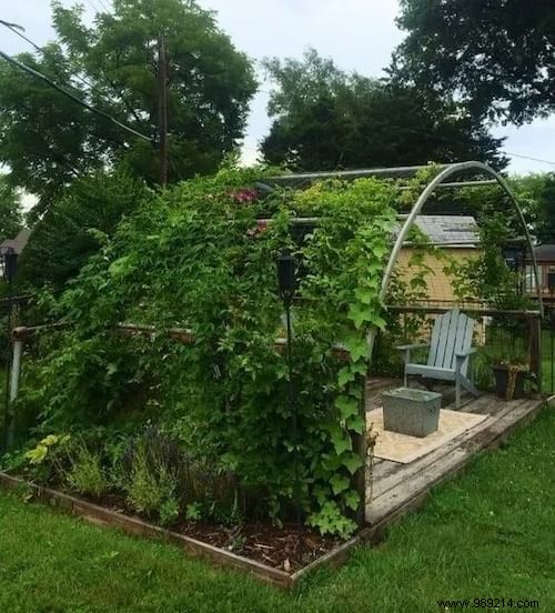 19 Genius Ways to Repurpose Your Old Trampoline in the Garden