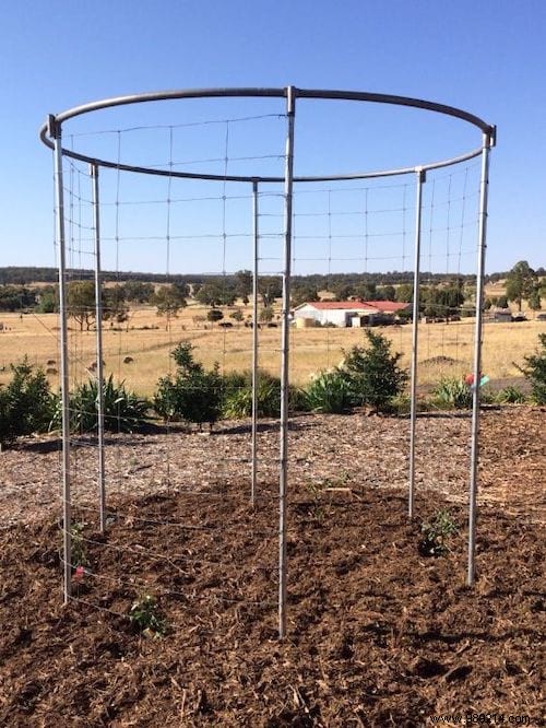 19 Genius Ways to Repurpose Your Old Trampoline in the Garden