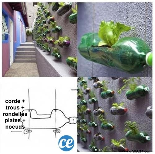 19 Easy, Budget-Friendly DIY Ideas to Transform Your Garden