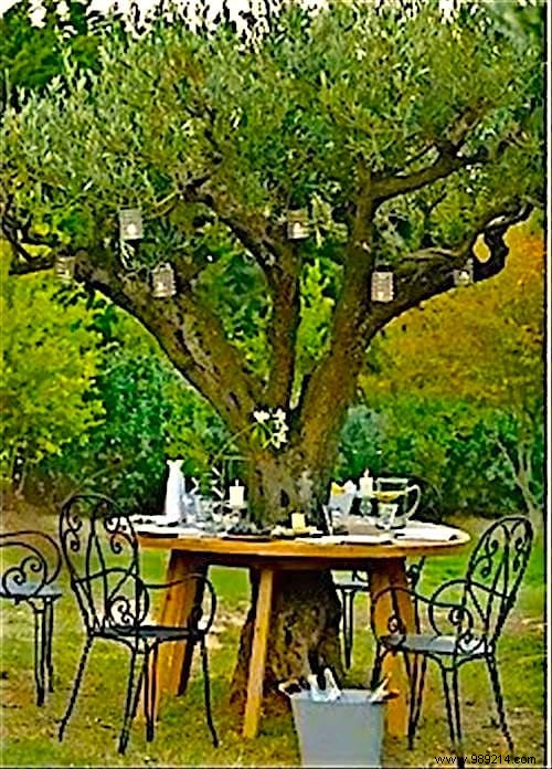 19 Easy, Budget-Friendly DIY Ideas to Transform Your Garden