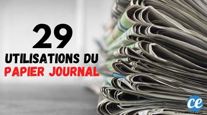 29 Proven Ways to Repurpose Old Newspapers at Home, Garden, and Garage