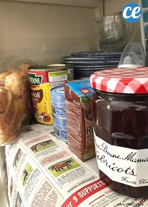 29 Proven Ways to Repurpose Old Newspapers at Home, Garden, and Garage