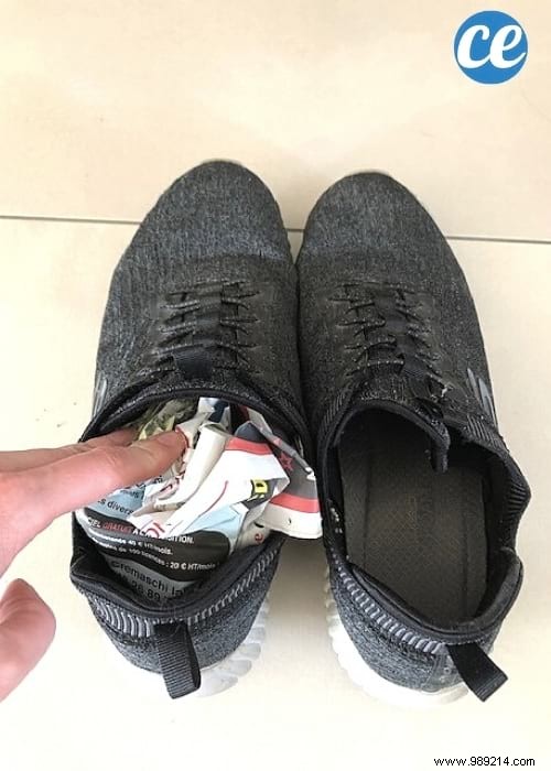 29 Proven Ways to Repurpose Old Newspapers at Home, Garden, and Garage