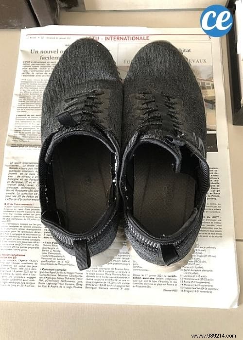 29 Proven Ways to Repurpose Old Newspapers at Home, Garden, and Garage