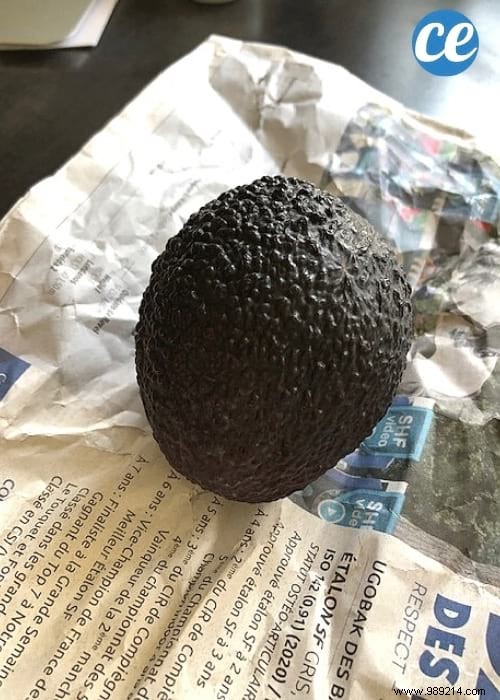 29 Proven Ways to Repurpose Old Newspapers at Home, Garden, and Garage