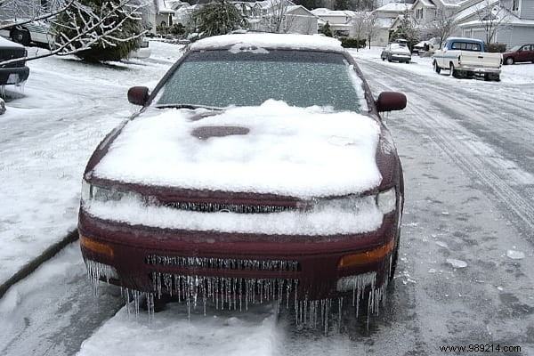 29 Proven Ways to Repurpose Old Newspapers at Home, Garden, and Garage