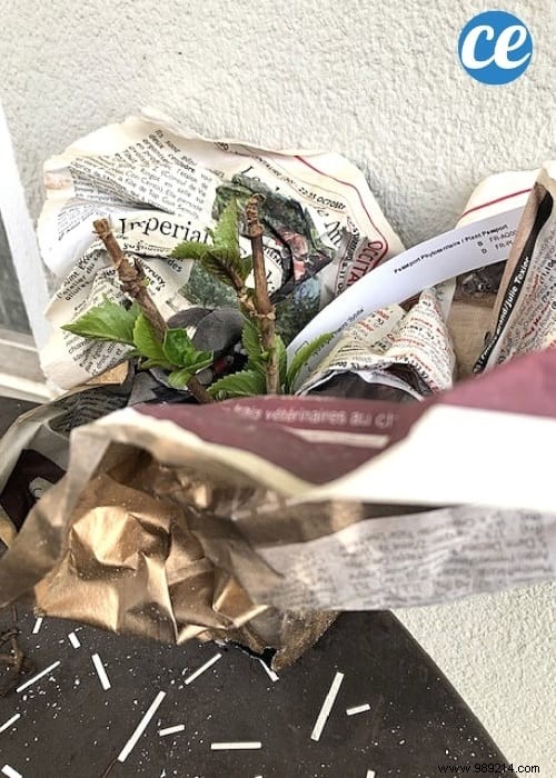 29 Proven Ways to Repurpose Old Newspapers at Home, Garden, and Garage