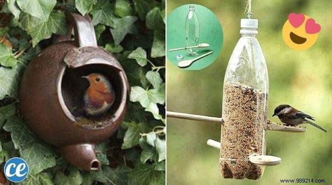 23 Simple DIY Bird Feeders for Winter: Help Backyard Birds Thrive with Easy Crafts