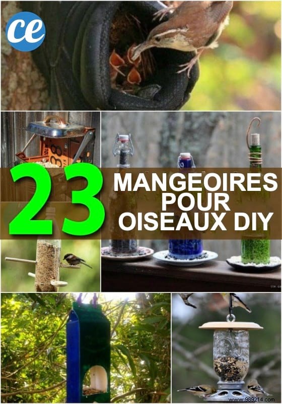 23 Simple DIY Bird Feeders for Winter: Help Backyard Birds Thrive with Easy Crafts