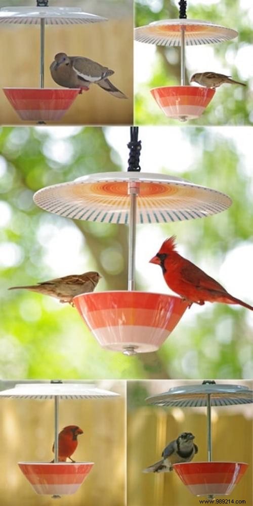 23 Simple DIY Bird Feeders for Winter: Help Backyard Birds Thrive with Easy Crafts