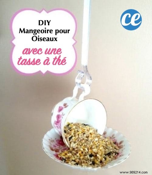 23 Simple DIY Bird Feeders for Winter: Help Backyard Birds Thrive with Easy Crafts