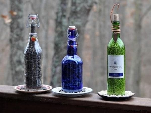 23 Simple DIY Bird Feeders for Winter: Help Backyard Birds Thrive with Easy Crafts