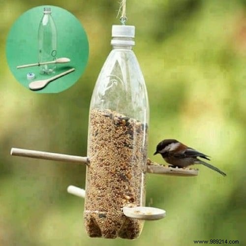 23 Simple DIY Bird Feeders for Winter: Help Backyard Birds Thrive with Easy Crafts