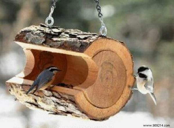23 Simple DIY Bird Feeders for Winter: Help Backyard Birds Thrive with Easy Crafts