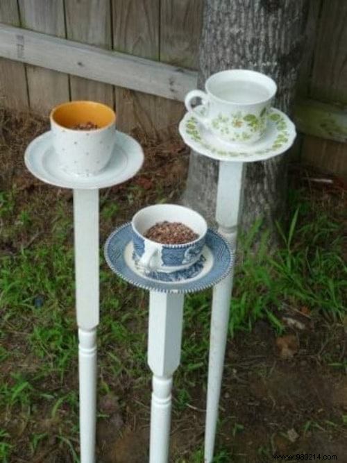 23 Simple DIY Bird Feeders for Winter: Help Backyard Birds Thrive with Easy Crafts