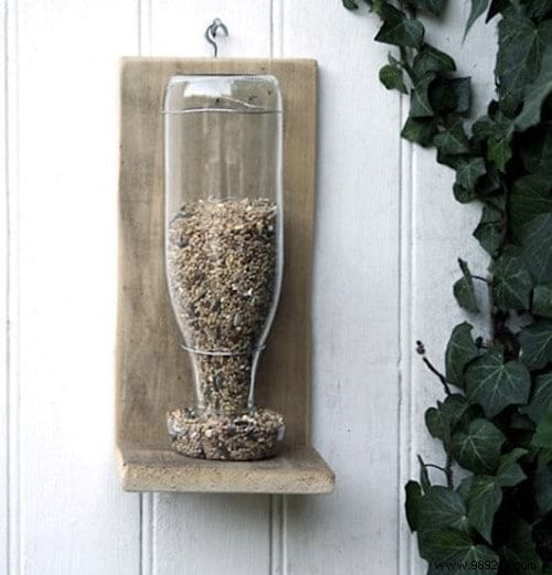 23 Simple DIY Bird Feeders for Winter: Help Backyard Birds Thrive with Easy Crafts