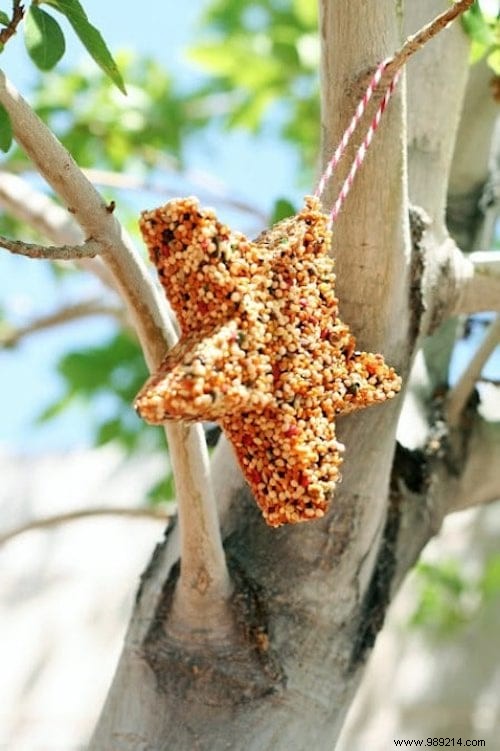 23 Simple DIY Bird Feeders for Winter: Help Backyard Birds Thrive with Easy Crafts