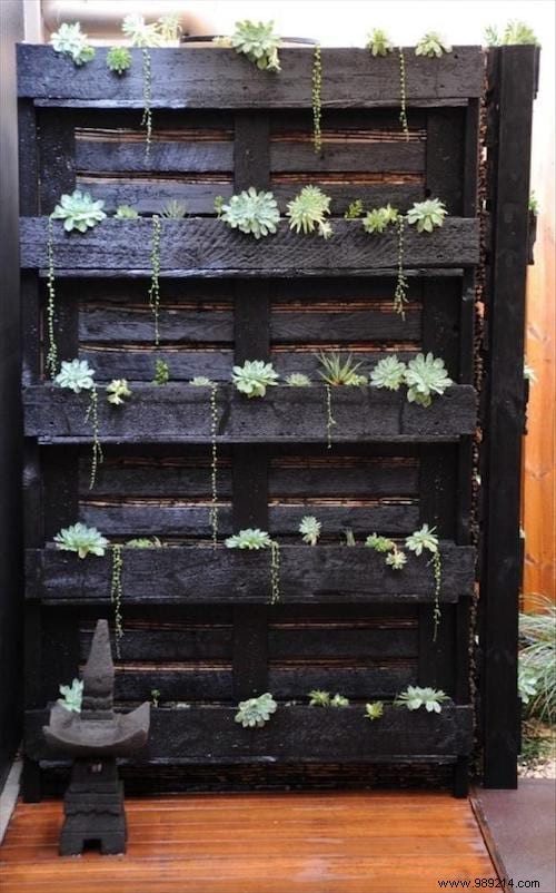 34 Ingenious Ways to Repurpose Old Wooden Pallets: Expert DIY Ideas