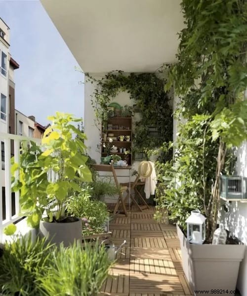 25 Budget-Friendly Balcony Decoration Ideas from a Professional Landscaper