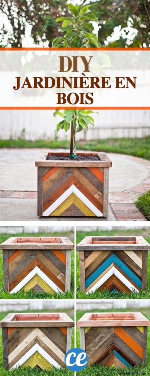 41 Expert Garden Decoration Ideas from a Professional Landscaper