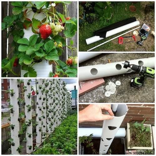 47 Ingenious PVC Pipe DIY Projects: Storage, Gardening, Kids Toys & More – Don t Miss #28