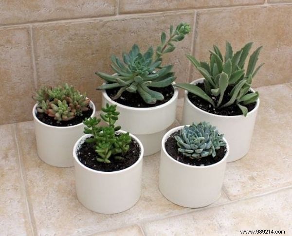 47 Ingenious PVC Pipe DIY Projects: Storage, Gardening, Kids Toys & More – Don t Miss #28