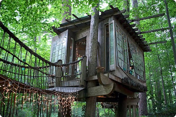 Architect Peter Bahouth s Dream Treehouse: Elevated Living Among the Treetops
