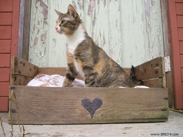 25 Easy DIY Wooden Pallet Furniture Ideas: Transform Free Pallets into Stylish Home Pieces