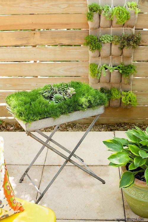 28 Budget-Friendly DIY Ideas to Transform Your Garden and Terrace