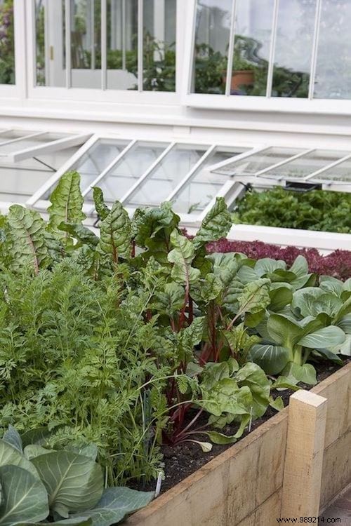 28 Budget-Friendly DIY Ideas to Transform Your Garden and Terrace