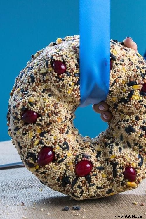 28 Budget-Friendly DIY Ideas to Transform Your Garden and Terrace