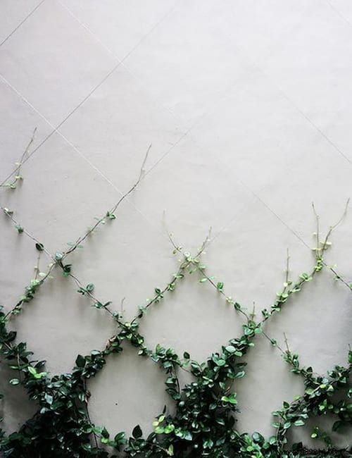 11 Easy and Budget-Friendly DIY Garden Decoration Ideas