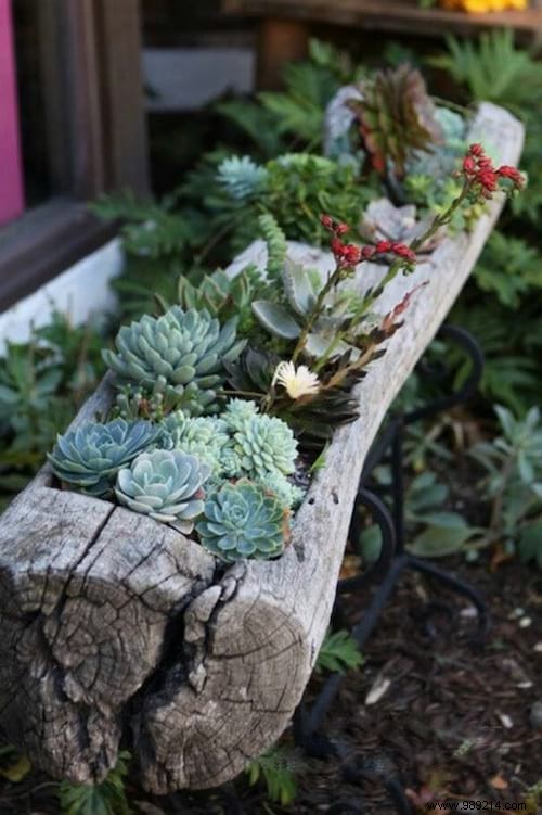 11 Easy and Budget-Friendly DIY Garden Decoration Ideas