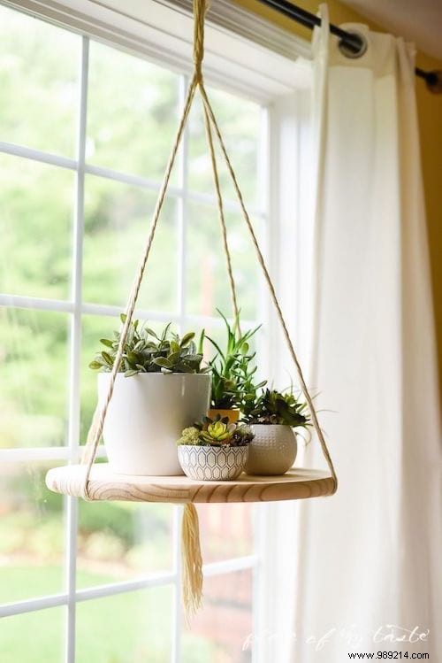 25 Stunning Low-Maintenance Succulent Decoration Ideas for Your Home