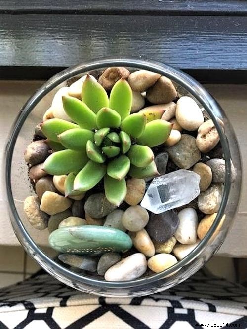 25 Stunning Low-Maintenance Succulent Decoration Ideas for Your Home