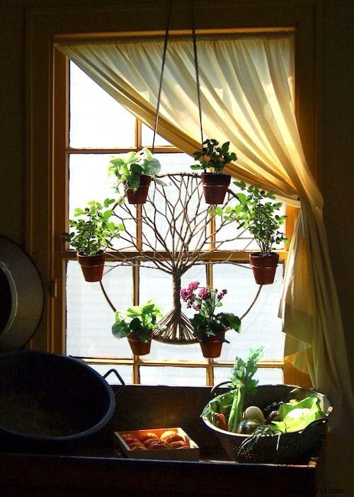 25 Stunning Low-Maintenance Succulent Decoration Ideas for Your Home