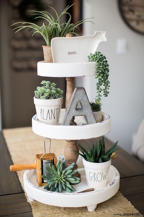 25 Stunning Low-Maintenance Succulent Decoration Ideas for Your Home