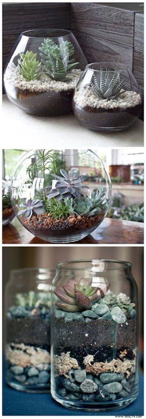 25 Stunning Low-Maintenance Succulent Decoration Ideas for Your Home