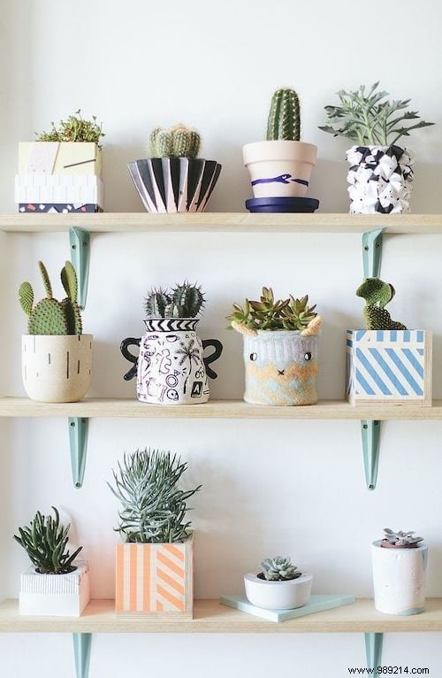 25 Stunning Low-Maintenance Succulent Decoration Ideas for Your Home