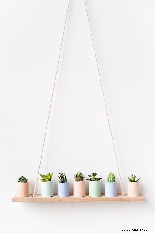 25 Stunning Low-Maintenance Succulent Decoration Ideas for Your Home