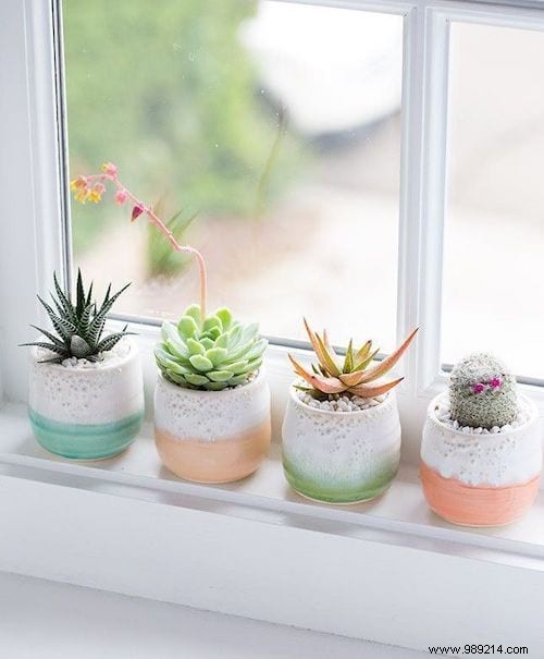 25 Stunning Low-Maintenance Succulent Decoration Ideas for Your Home